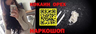 молекула духа Кандалакша