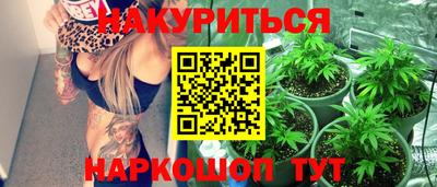 гашик Камышлов
