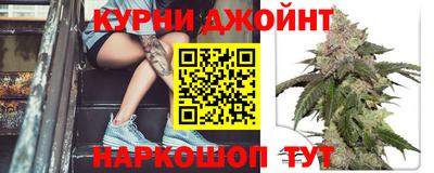 гашик Камышлов