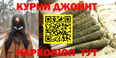 гашик Камышлов