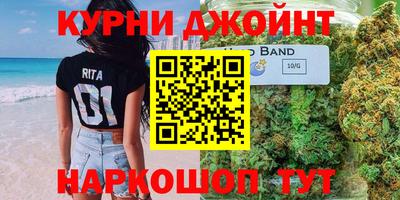 гашик Камышлов