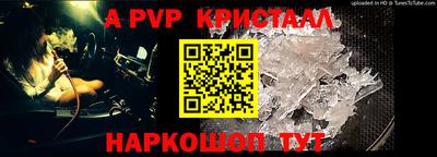 гашик Камышлов